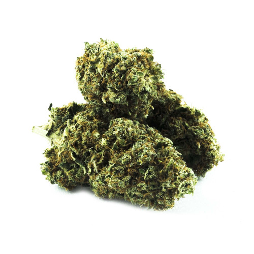 GRÜNKRAFT - BERNER BLÜTE CBD 6G ONE SIZE
