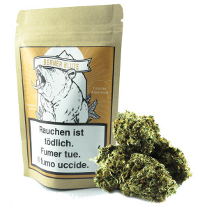 GRÜNKRAFT - BERNER BLÜTE CBD 2.6G