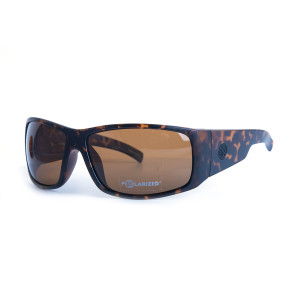 FILTRATE - FACTORY MATTE TORT/BRONZE POLARIZED